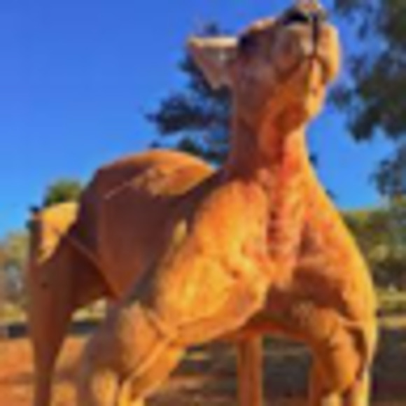 Meet your Posher, Ella - Picture 1 of 1